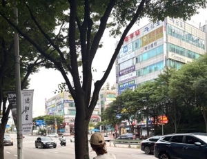 기사이미지